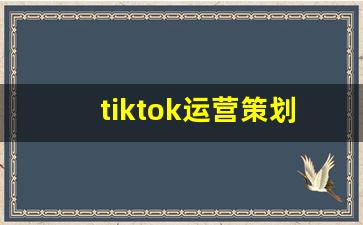 tiktok运营策划案