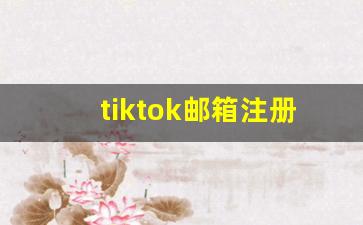 tiktok邮箱注册不了_tiktok邮箱注册教程