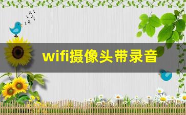 wifi摄像头带录音吗_有没有自带wifi的摄像头