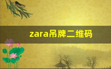 zara吊牌二维码