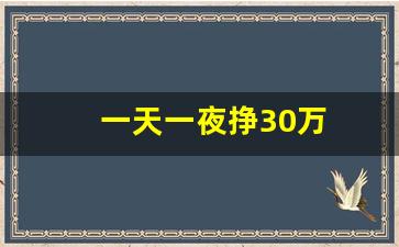 一天一夜挣30万