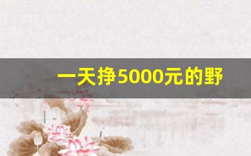 一天挣5000元的野路子