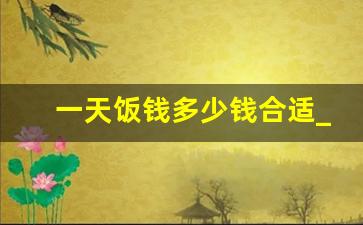 一天饭钱多少钱合适_正常高中生一天的饭钱