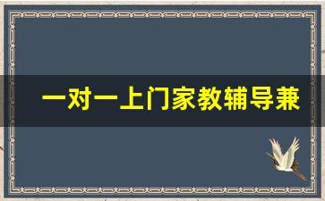 一对一上门家教辅导兼职_一对一辅导哪家好