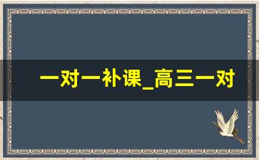 一对一补课_高三一对一收费500贵吗