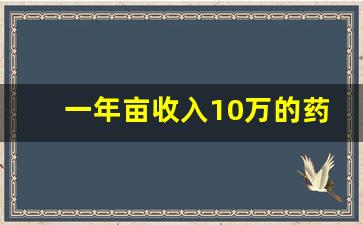 一年亩收入10万的药材