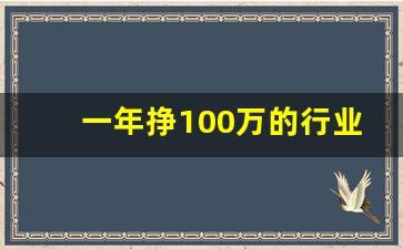 一年挣100万的行业有哪些_来钱快的偏门赚钱路子