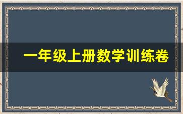 一年级上册数学训练卷