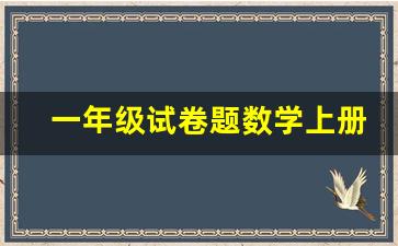 一年级试卷题数学上册