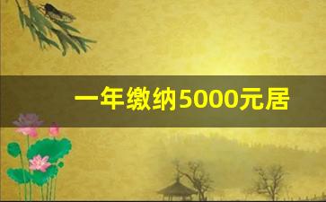 一年缴纳5000元居民养老保险_如何缴纳个人养老保险