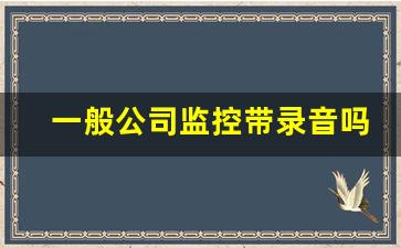 一般公司监控带录音吗_上班被监控监听合法吗