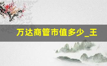 万达商管市值多少_王健林380亿对赌IPO