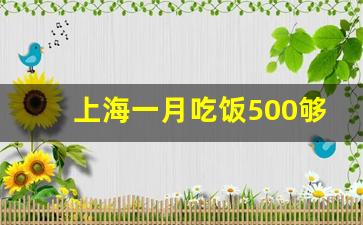 上海一月吃饭500够吗_普通人在上海一个月消费多少