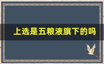 上选是五粮液旗下的吗_五粮液绿豆酒好喝吗