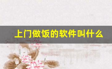 上门做饭的软件叫什么_300的快餐可以玩多久