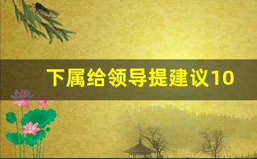 下属给领导提建议10条