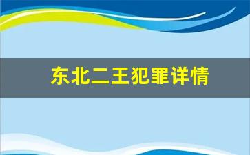 东北二王犯罪详情