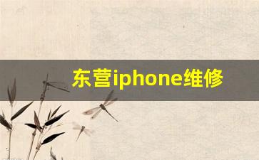 东营iphone维修中心_东营电脑维修店附近