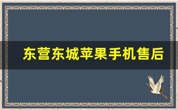 东营东城苹果手机售后服务_北京苹果维修授权店查询