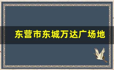 东营市东城万达广场地址_东营市东营区民政局