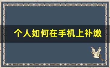 个人如何在手机上补缴社保