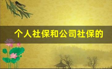 个人社保和公司社保的区别