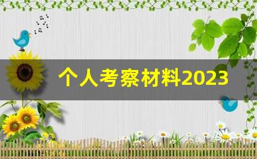 个人考察材料2023_2023党员同志个人考察范文