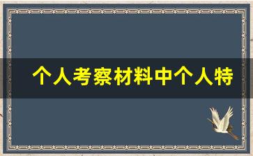 个人考察材料中个人特点_考察材料个人评价