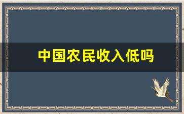 中国农民收入低吗