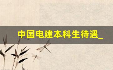 中国电建本科生待遇_中国电建应届生去了是做什么