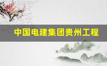 中国电建集团贵州工程公司_中国电建集团贵州工程陕西分公司