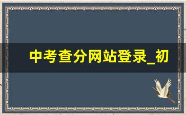 中考查分网站登录_初中生查分数平台