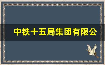 中铁十五局集团有限公司_中铁1到25局实力排名