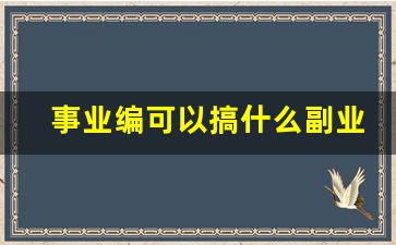 事业编可以搞什么副业