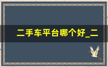 二手车平台哪个好_二手车最良心的平台