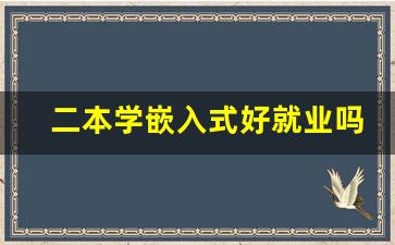 二本学嵌入式好就业吗