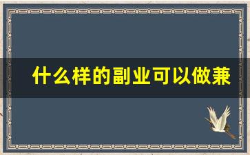 什么样的副业可以做兼职