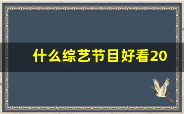 什么综艺节目好看2019