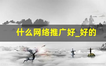 什么网络推广好_好的网络推广方法