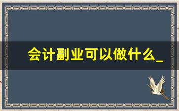 会计副业可以做什么_网上怎么做副业