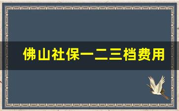 佛山社保一二三档费用