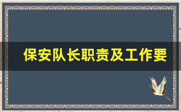 保安队长职责及工作要求