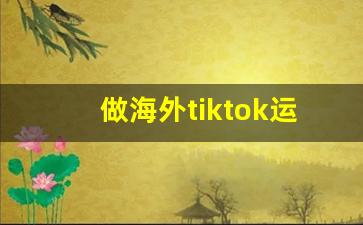 做海外tiktok运营合法吗_tiktok用什么加速器