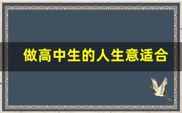 做高中生的人生意适合做什么