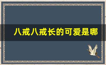 八戒八戒长的可爱是哪首歌的歌词