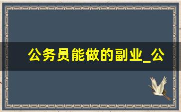 公务员能做的副业_公务员在闲鱼卖东西算副业吗