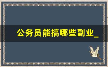 公务员能搞哪些副业_搞什么副业