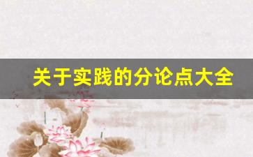 关于实践的分论点大全_实践的议论文作文800字高中