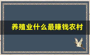 养殖业什么最赚钱农村养牛_在农村养牛挣钱吗