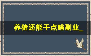 养猪还能干点啥副业_工作之余可以赚钱的副业